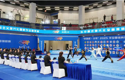 2025年全国体育传统项目学校武术套路锦标赛圆满落幕